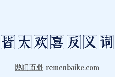 皆大欢喜反义词是什么意思的图片